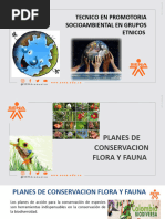 Presentación Planes de Conservacion Flora Fauna