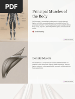 Principal Muscles of The Body