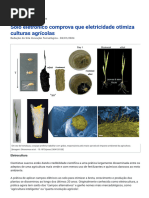 Solo Eletrônico Comprova Que Eletricidade Otimiza Culturas Agrícolas