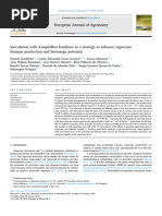 Scudeletti Et Al. 2023 - Inoculation With Azospirillum As A Strategy To Enhance Sugarcane Biomass Production and Bioenergy Potential