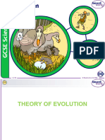 Theories of Evolution