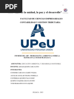 "Año de La Unidad, La Paz y El Desarrollo": Facultad de Ciencias Empresariales Contabilidad Y Gestion Tributaria