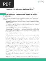 Tema 23 Indencios Forestales