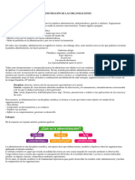 Administración Generalidades SeH