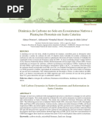 Artigo - Dinamica Do Carbono No Solo em Ecossistemas Nativos e Plantações Florestais em SC