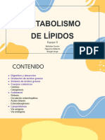 Metabolismo de Lípidos