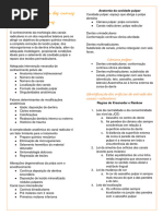 Anatomia Dos Canais Radiculares