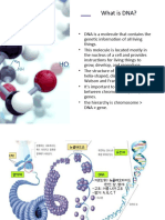 DNA Discovery Presentation