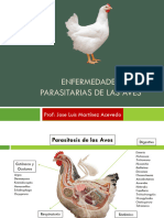 Enfermedades - Parasitarias - de - Las - Aves 2024