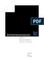 Entrepreneurship Report