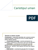 Cariotipul Uman