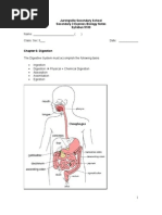 Chapter 6 Digestion - Lecture Notes