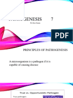 Pathogenesis 7