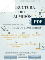 ESTRUCTURA DEL ALMIDÓN - T.P. Grupal