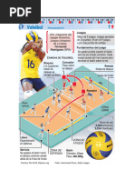 Cuáles Son Las Posiciones en El Vóleibol