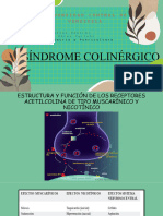 Sindrome Colinergico