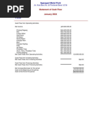 Statement of Cash Flow