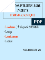 Occlusions Intestinales de L'adulte