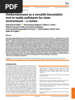 Oxidoreductases As A Versatile Biocatalytic