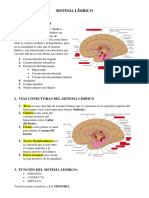 SISTEMA LÍMBICO - Expo