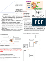 Ciencia Ficha El Sentido de La Vista