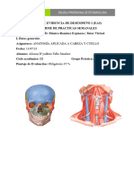 Documento Sin Título