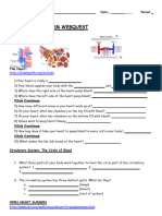 Circulatory System Webquest