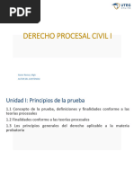 goDERECHO PROCESAL CIVIL IU1C1