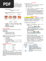 Resumen Traumatismo Encéfalo Craneano