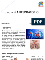 Sistema Respiratorio