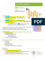 TCP Otorrino Evaluación Auditiva