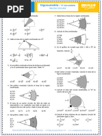 Separata - Sector Circular - 5to Sec