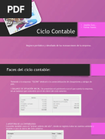 Ciclo Contable