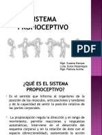 Sistema Propioceptivo