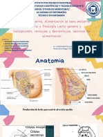 Presentación Actividades para Niños Infantil Colorido Rosa y Azul - 20240410 - 111214 - 0000