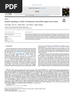 Peptide Signaling in Anther Development and Pollen-Stigma Interactions