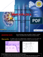 HIPOSPADIAS