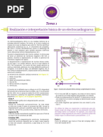 Tema 1 ECG