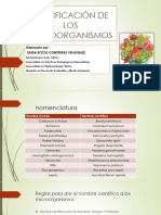 Clasificacion de Microorganismos Bacterias