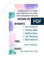 PDF Documento