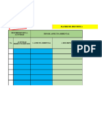 Matriz de Aspectos e Impactos Ambientales Sin Diligenciar