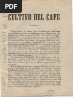 Cultivo Del Café