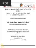 2.2 Yrcg Programacion