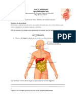 Guia de Repaso Sistema Digestivo