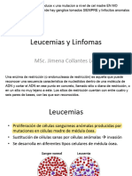 Leucemias y Linfomas