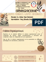 Cultura Organizacional