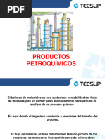 Problemas Petroquimica