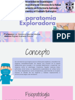 Laparatomia Exploradora