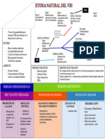 Historia Natural de La Enfermedad - Vih