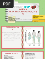 Transtornos Del Agua y Electrolitos (Na, K, CA y P) - Grupo 3 Listo